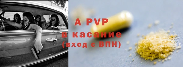 сатива Арсеньев