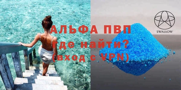 сатива Арсеньев