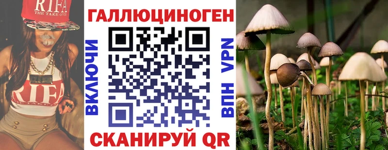 ссылка на мегу зеркало  Кондрово  Псилоцибиновые грибы Cubensis 